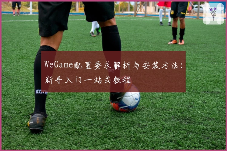 WeGame配置要求解析与安装方法：新手入门一站式教程